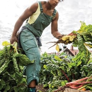 Duluth Trading Co Heirloom Gardening Bib Overalls Fir Green